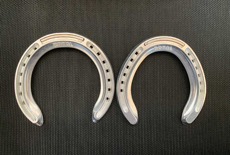HOMED ALUMINUM HORSESHOE Mendapat Permintaan Global